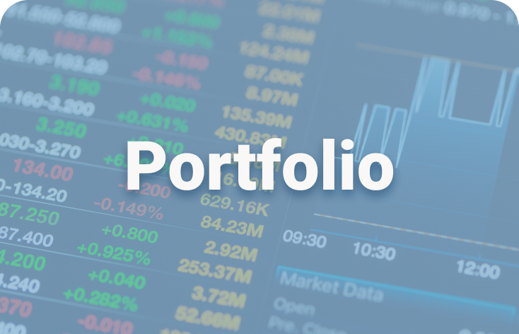 Portfolio Category